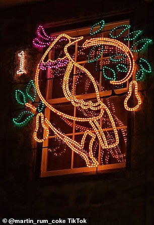 One scene showed a dove