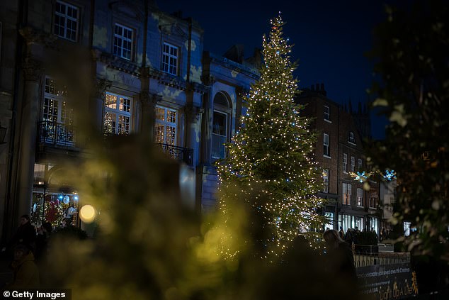 The Christmas tree added a festive, quaint charm to the streets of York during the holiday period