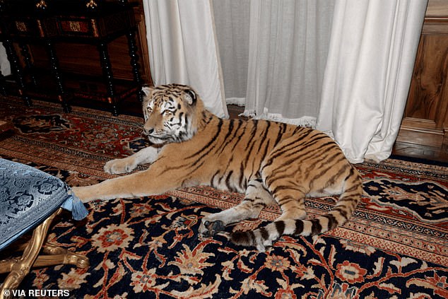 One photo released on Friday by the DOJ showed Epstein appeared to have a stuffed tiger in his New York home
