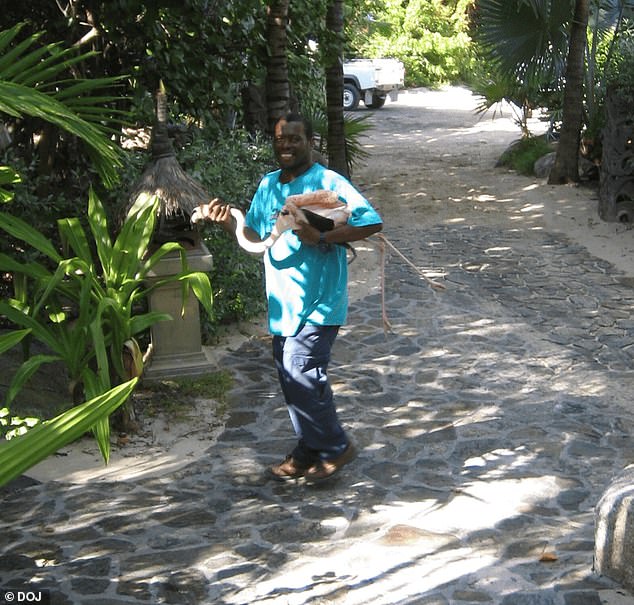 A man is pictured carrying a flamingo in one of the images - no context is given