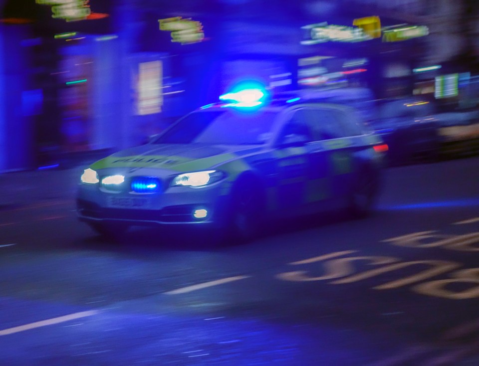 Europe, UK, Great Britain, England, London Area, 2018: View Of Police Car