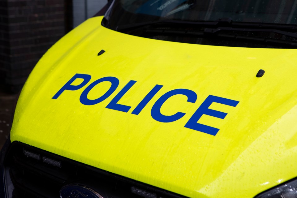 Close-up of a yellow police van with "POLICE" written in blue text.