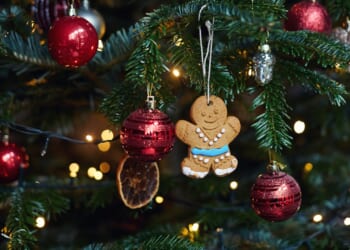 Fire expert reveals if you REALLY need to turn off your Christmas tree lights – & 3 most common mistakes everyone makes