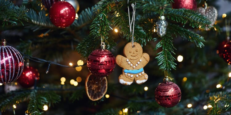 Fire expert reveals if you REALLY need to turn off your Christmas tree lights – & 3 most common mistakes everyone makes