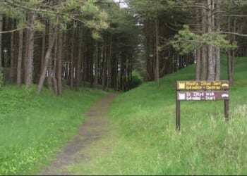 Two rushed to hospital after toboggan ride 'malfunctions' at popular UK park
