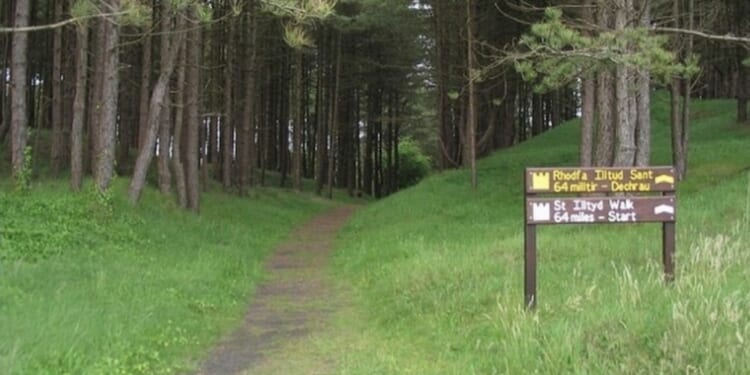 Two rushed to hospital after toboggan ride 'malfunctions' at popular UK park