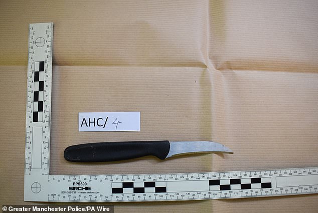 A knife found in the car belonging to Hussein following his arrest
