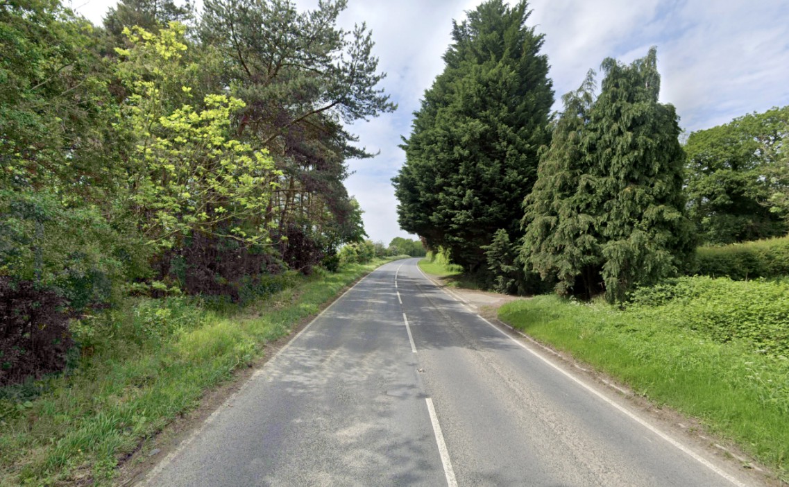 A paved road with a white broken line down the middle and a white solid line on the edges, surrounded by green trees and grass on both sides, curving to the right.