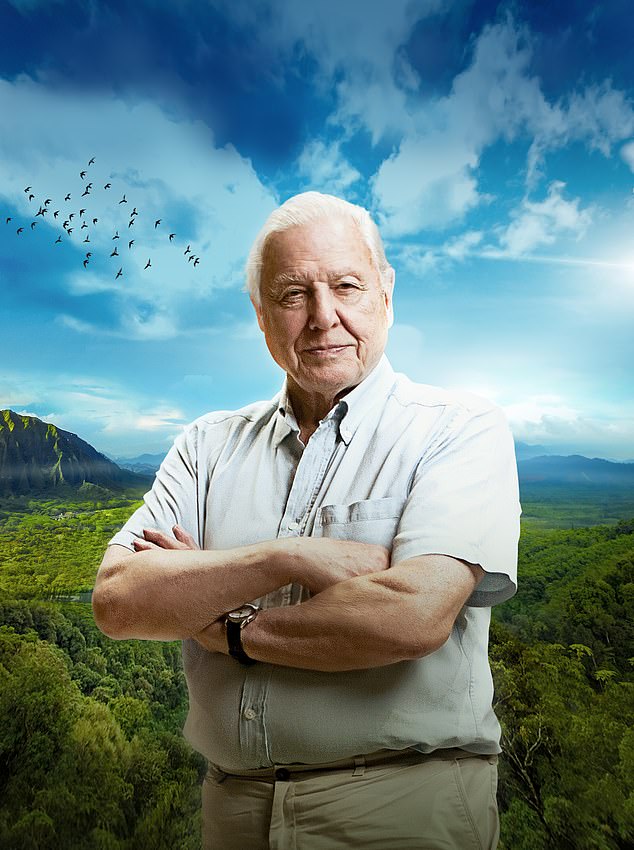 His letter from the BBC and his earlier application for the TV training scheme will now form part of a new archive of more than 50,000 documents that detail different aspects of the 100-year-old national broadcaster's history