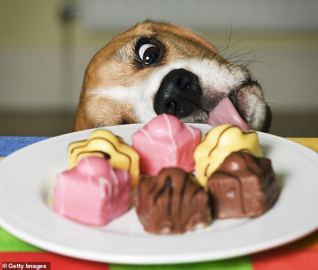 It's hard to resist a fondant fancy when they're dished up Christmas time - or two, or perhaps even three
