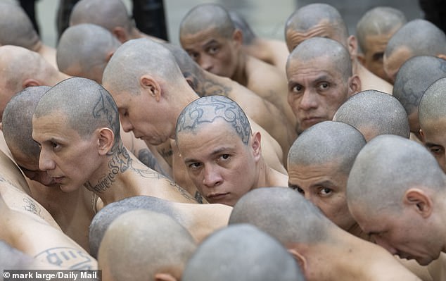 Inmates with elaborately tattooed skulls. As the first British journalist to enter CECOT, I can imagine no greater torment than being consigned there