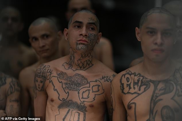 Inmates look on as they remain in a cell at the CECOT. The system seems harsher than that of the US detention facility at Guantanamo Bay and the Robben Island prison where Nelson Mandela was held