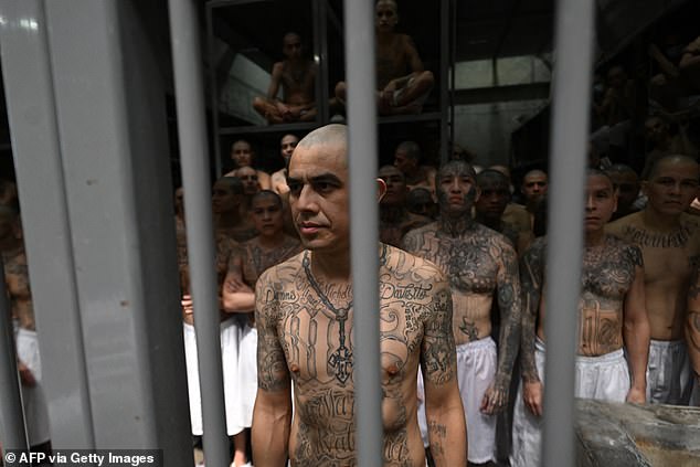 Inmates are allowed no writing materials, fresh air or family visits. The sole aim is subjugation