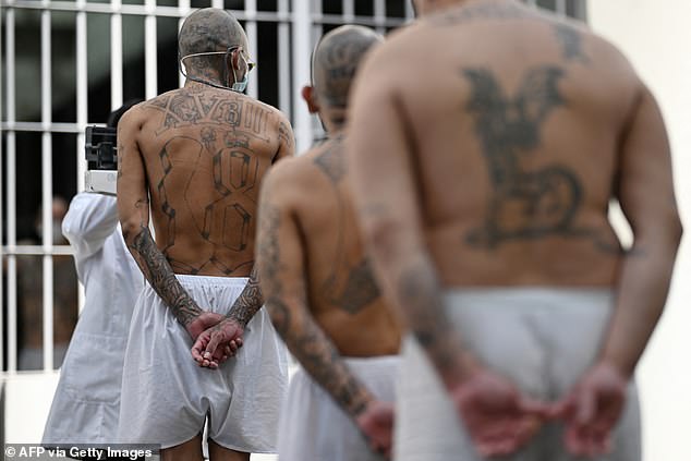 Inmates receiving medical services at the mega-prison. One might liken this to a human zoo, but zoo animals are at least given stimuli.