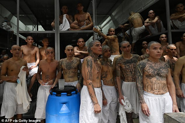 Trapped in a permanently strip-lit, antiseptically clean netherworld, these men will never smell fresh air or see natural daylight again