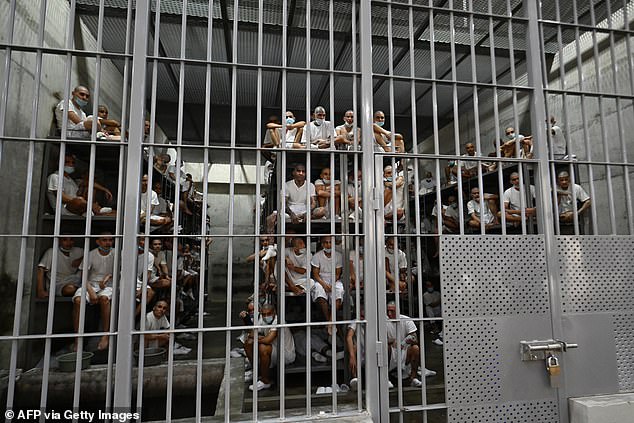 Inmates pictured behind padlocked bars on top of bunks in their cell