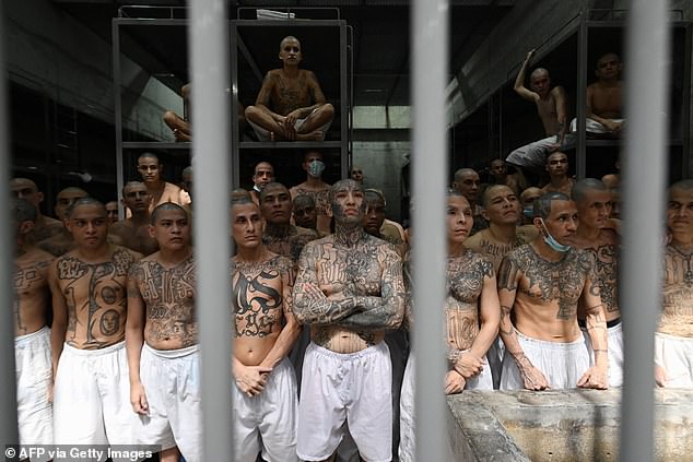 The men are fed three meals a day in their cells ¿ of rice and beans, pasta and a boiled egg, and their water is rationed