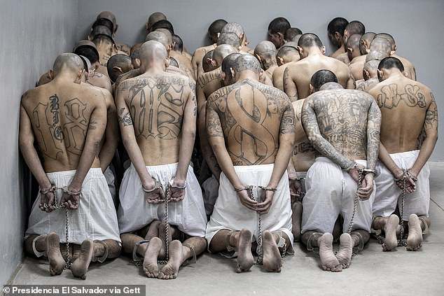 Inmates kneel with their legs and feet chained and their heads down at the CECOT
