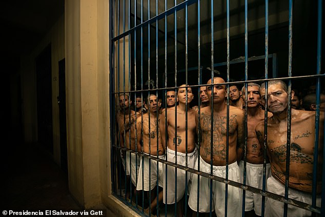 Inmates behind bars at the CECOT prison. The one prisoner I interviewed gave robotic, almost scripted answers, including insisting he was treated well and had his basic needs met