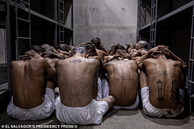 A group of inmates from the MS-13 and 18 gangs with tattoos on their bodies and hands over their heads