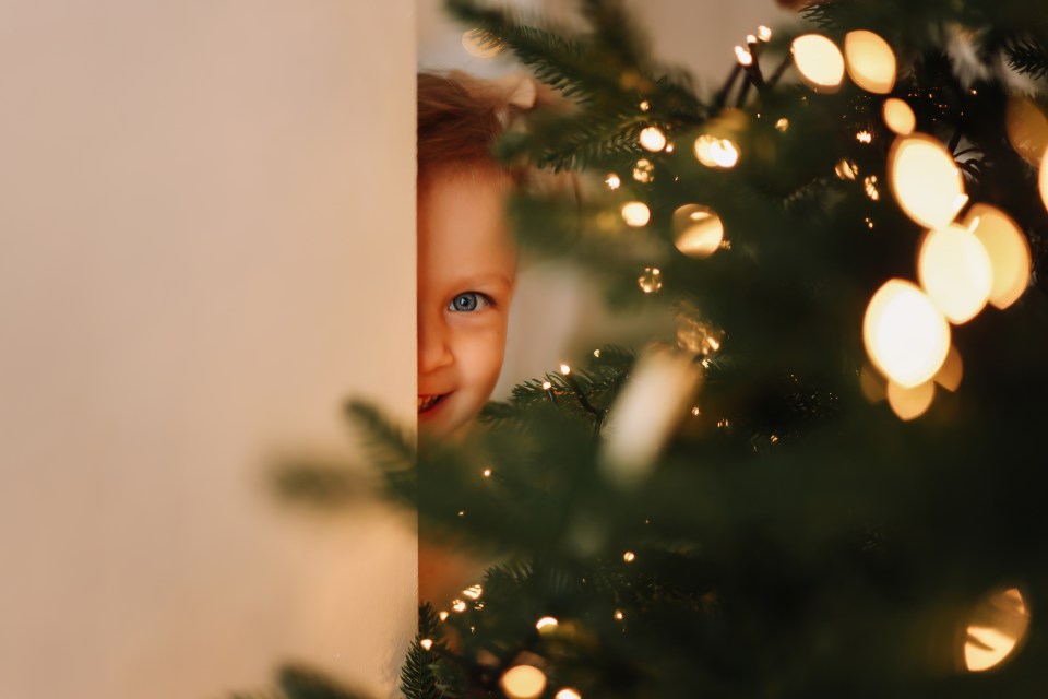 Face of a smiling girl peeking from behind a Christmas tree with lights.
