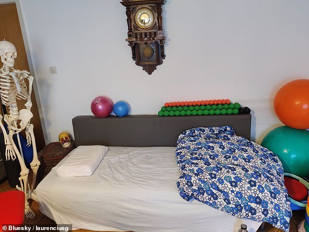 Other submissions were also notable for the number of unusual objects - like skulls (pictured) or tiny plushy dinosaurs - populating the room