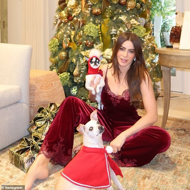 Sofia donned sexy red velvet pajamas featuring a lacy detailing at the chest and hemline of the trousers