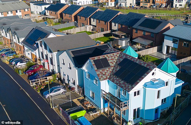 Pictured: One of the homes resembles a blue princess castle, which children living on the estate love to walk past