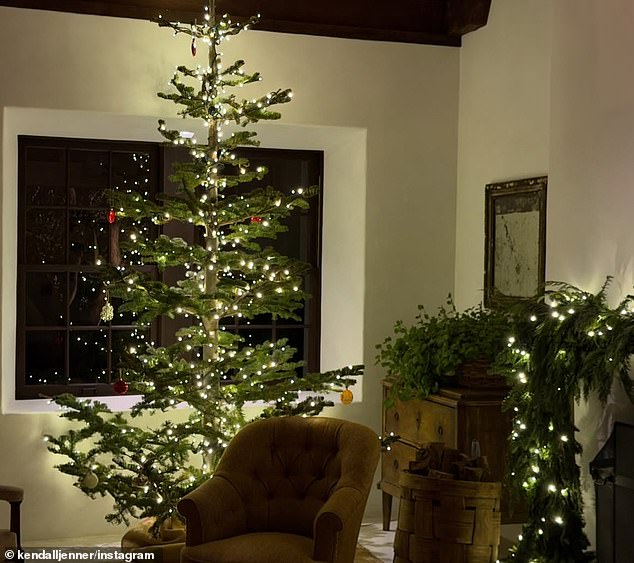 In one image, a green tree could be seen placed in the corner of a living room - which was decked out with white lights as well as a few ornaments scattered on the branches