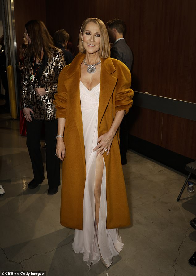 Dion is seen at The Grammys in February