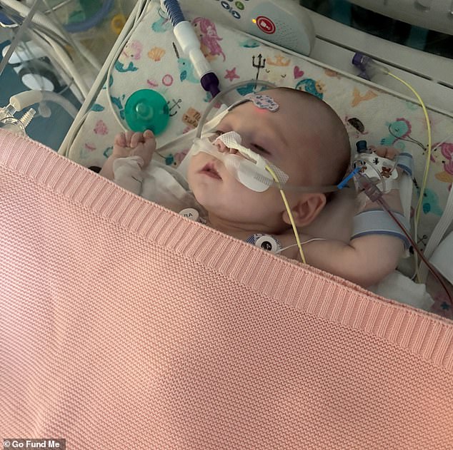 She was soon diagnosed with two ventricular septal defects - holes in the walls of her heart