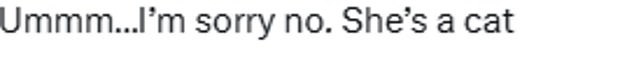 Some took to X, formerly known as Twitter, to share their confusion over the claim that Hello Kitty is not a cat