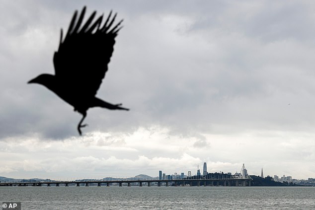 Rain clouds loom over San Francisco as seen from the waterfront in Emeryville, California before a strong storm system makes its way to the Bay Area