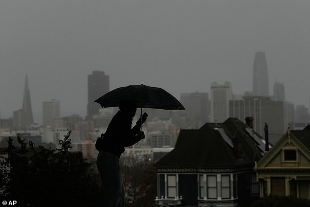 A pedestrian carries an umbrella while walking on a path at Alamo Square Park, in San Francisco