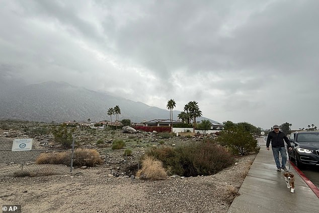 A man walks a dog in the rain on South Belardo Road in Palm Springs, California