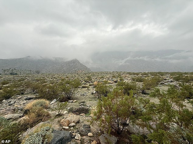 An unusual sight as cloudy skies and rain falls in Palm Springs, California