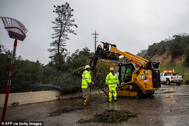 City workers try to remove a tree that felt on a wall next to the Hollywood Water Reserve