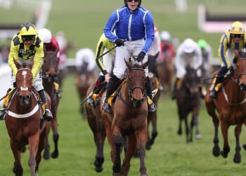 Illegal black market bookies set for £100million Boxing Day bonanza