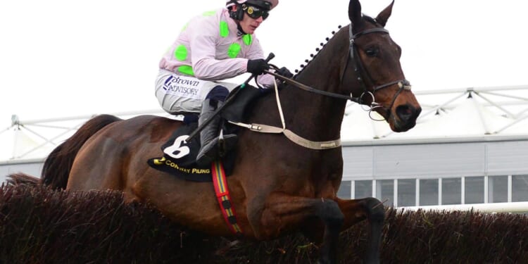 Templegate’s Tote Placepot Tips with £150,000 GUARANTEED at Kempton on Boxing Day