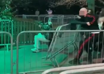 Shocking moment yobs brawl at Winter Wonderland before taser-wielding cops intervene in front of horrified onlookers