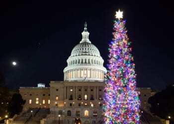 The 2025 Capitol Christmas tree is seen on the West Lawn of the U.S. Capitol in Washington, D.C., on Dec. 7, 2025.