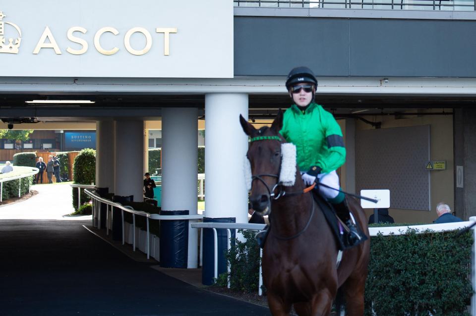 Ascot, Berkshire, UK. 6th October, 2023. Horse Amber Island ridden by jockey Mr Paul Kavanagh heads out onto the racktrack for the Thoroughbred Industry Employee Awards Amateur Jockeys? Handicap Stakes at Ascot Racecourse on the Autumn Racing Friday.