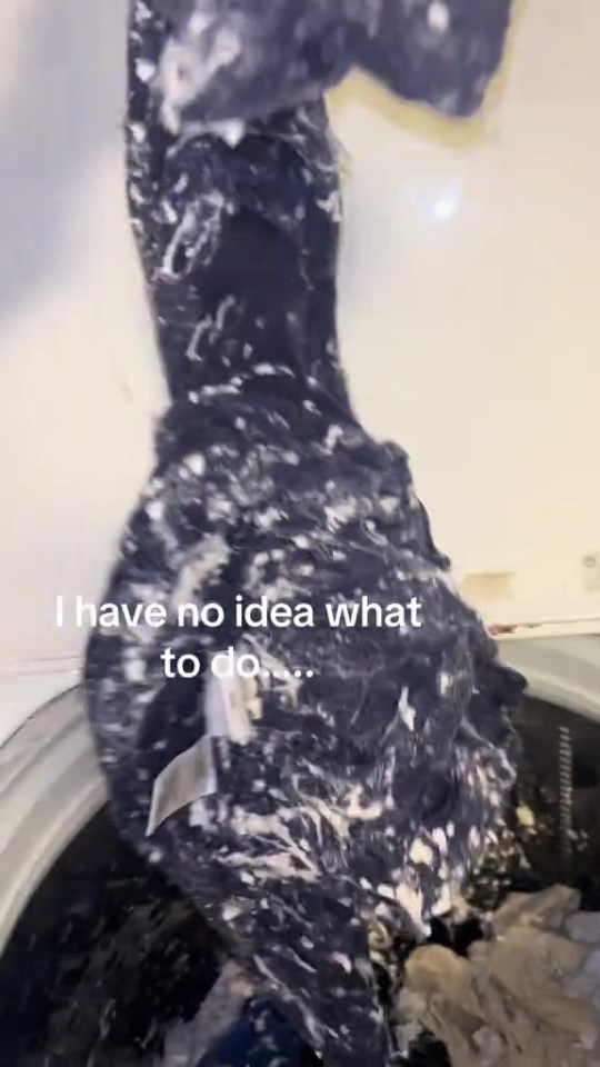 NINTCHDBPICT001047978762