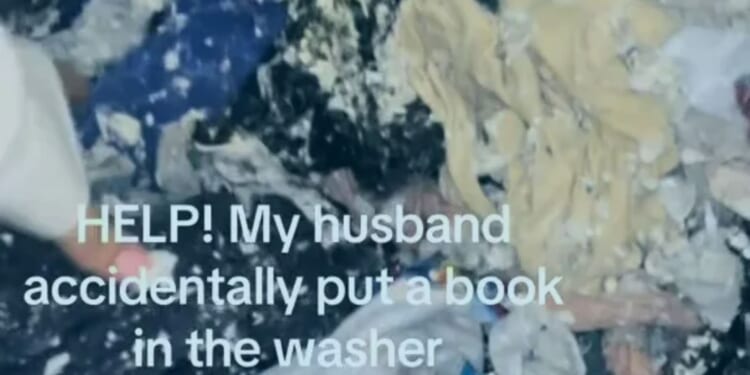 ‘Put a new wardrobe on his card’, people say as woman shares disastrous results after husband ruins entire laundry load