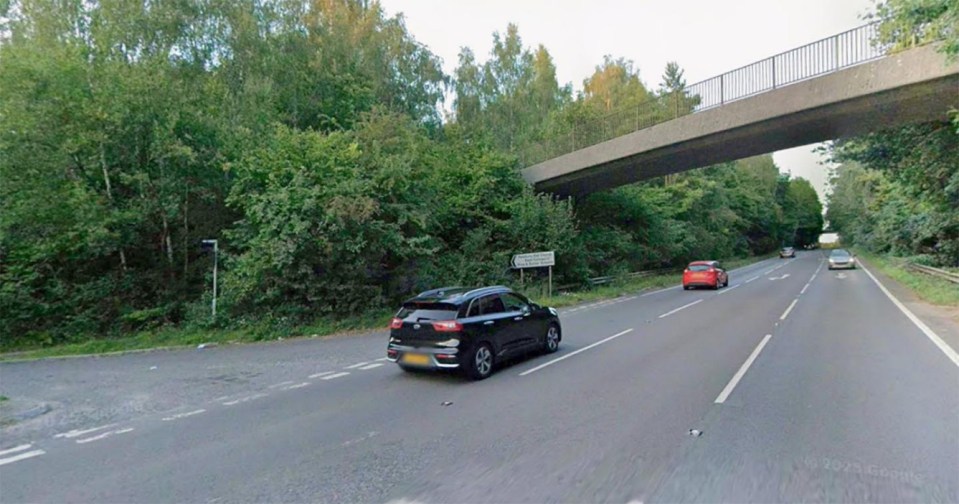 A black car, followed by a red car and two other cars, drive on a three-lane highway under an overpass, with trees on either side.