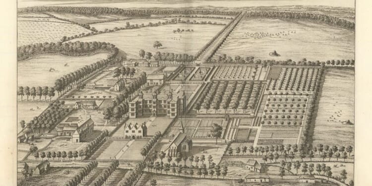 Timeless wisdom | Marian Boswall