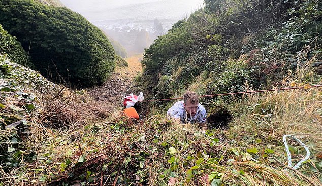 Fiona the sheep was winched up the cliff in the rescue