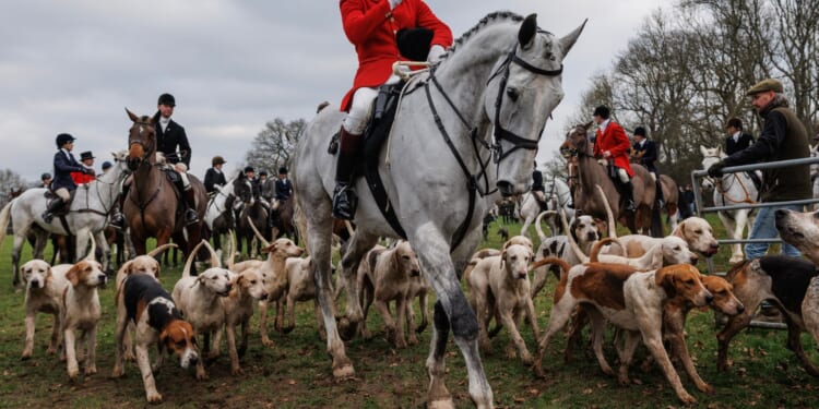 Thousands of trail hunt supporters gather on Boxing Day after Sir Keir Starmer's vow to ban annual tradition