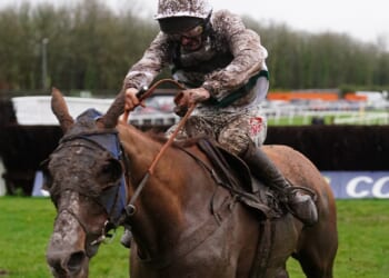 Templegate's Welsh Grand National tip, runner-by-runner guide and 1-2-3-4-5 prediction