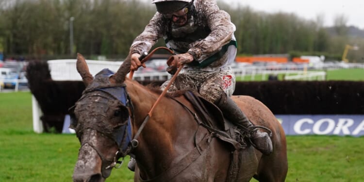 Templegate's Welsh Grand National tip, runner-by-runner guide and 1-2-3-4-5 prediction